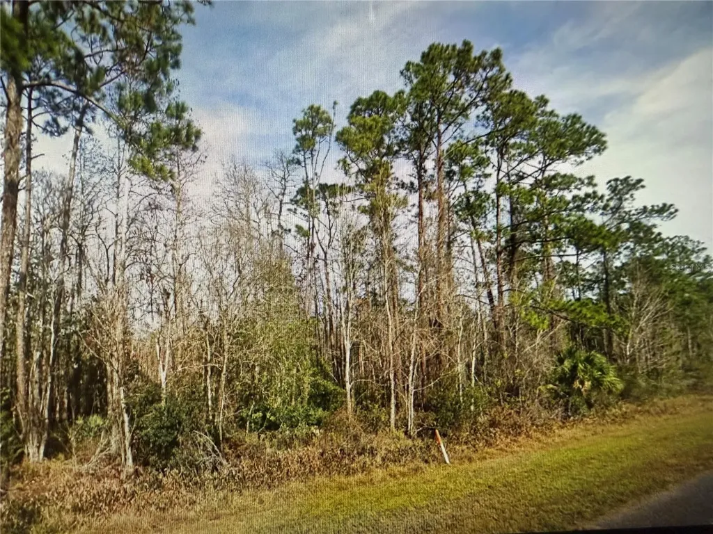 20617 E Colonial Drive Christmas FL 32709