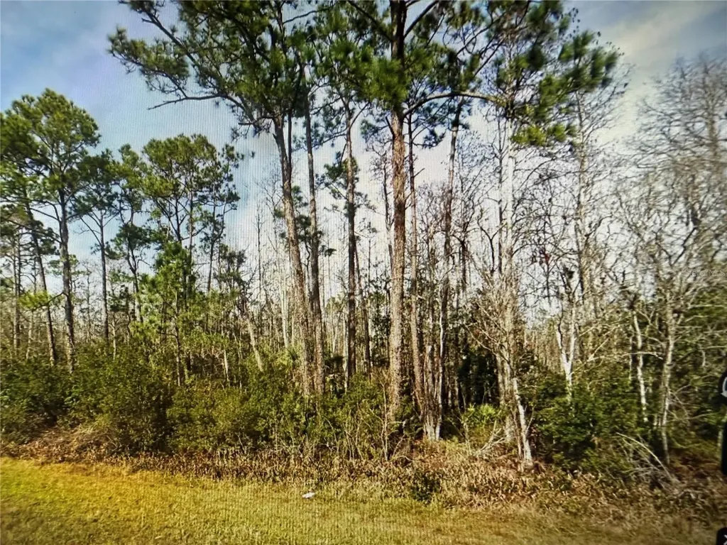 20617 E Colonial Drive Christmas FL 32709