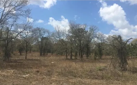Tbd SW Portulaca Court Dunnellon FL 34431