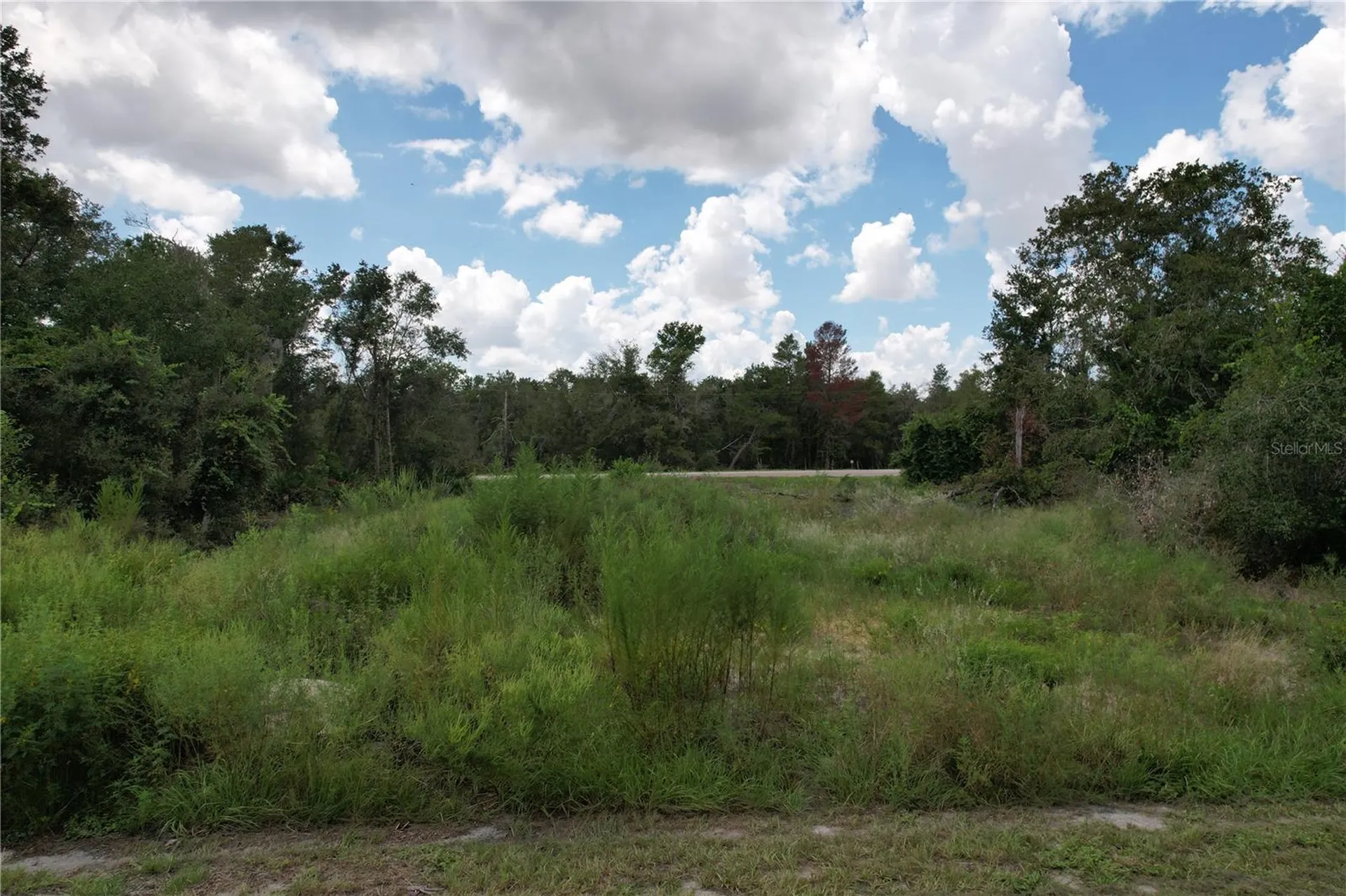 1416 Stuart Lane Kissimmee FL 34759