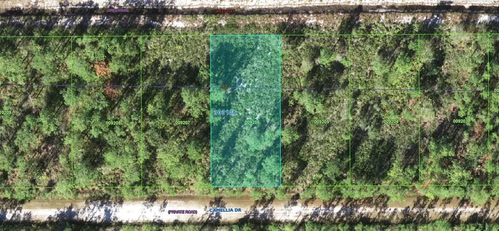 412 Camellia Drive Indian Lake Estates FL 33855