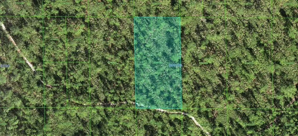 30-31-03-000000-034190 Inaaccesible Track Lake Wales FL 33898