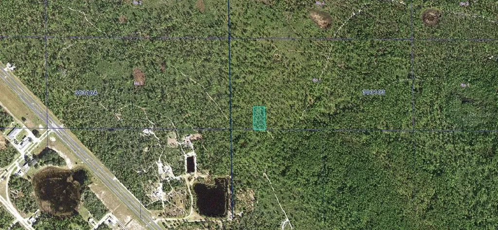 30-31-03-000000-034190 Inaaccesible Track Lake Wales FL 33898