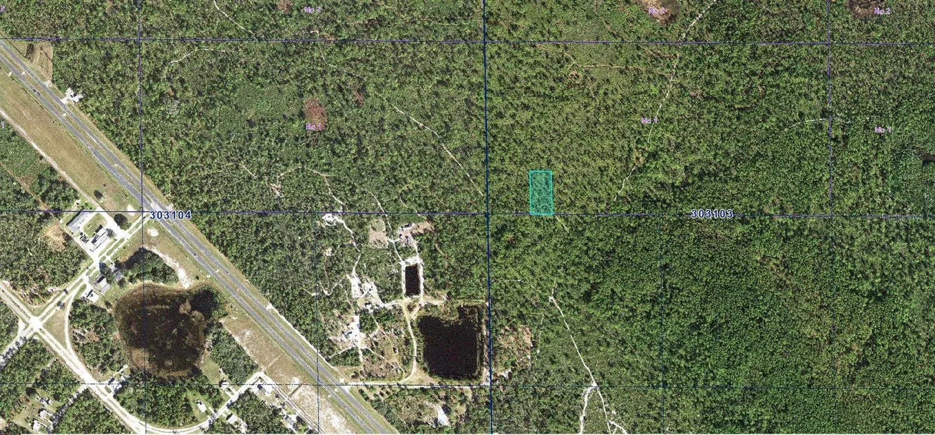 30-31-03-000000-034190 Inaaccesible Track Lake Wales FL 33898