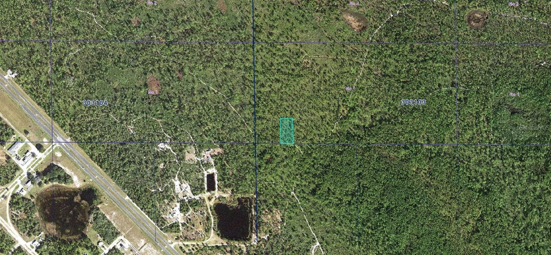 30-31-03-000000-034190 Inaaccesible Track Lake Wales FL 33898