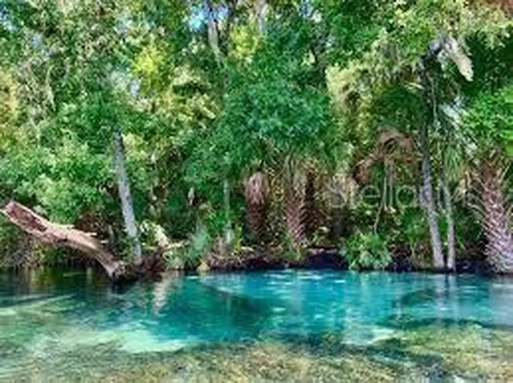 2190 W Landmark Drive Citrus Springs FL 34434