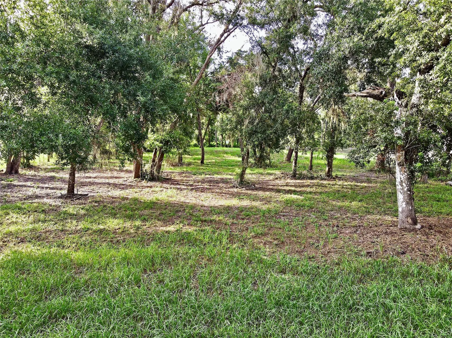 35174 Roth Lane Dade City FL 33525