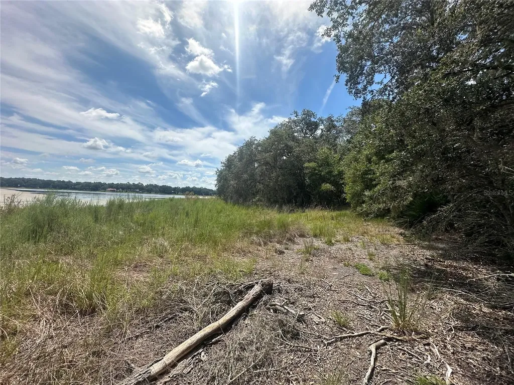 2208 SW Shorewood Drive Dunnellon FL 34431