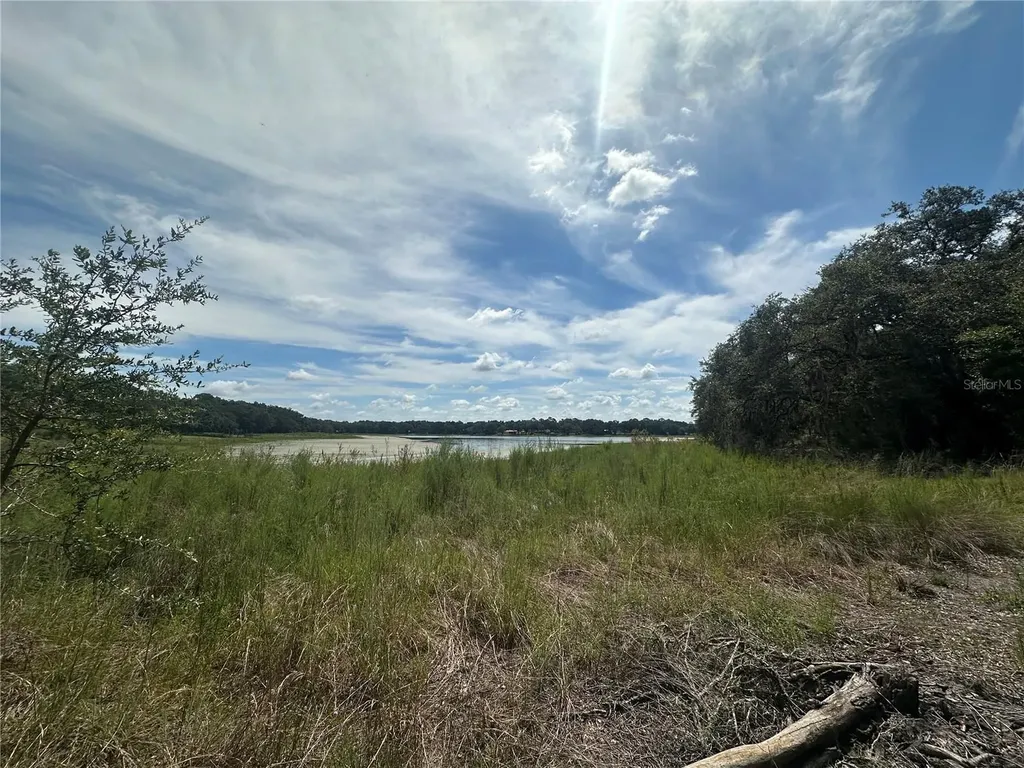 2208 SW Shorewood Drive Dunnellon FL 34431