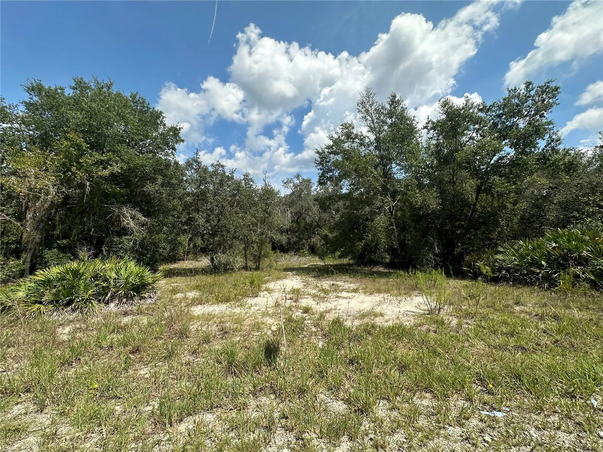 2208 SW Shorewood Drive Dunnellon FL 34431