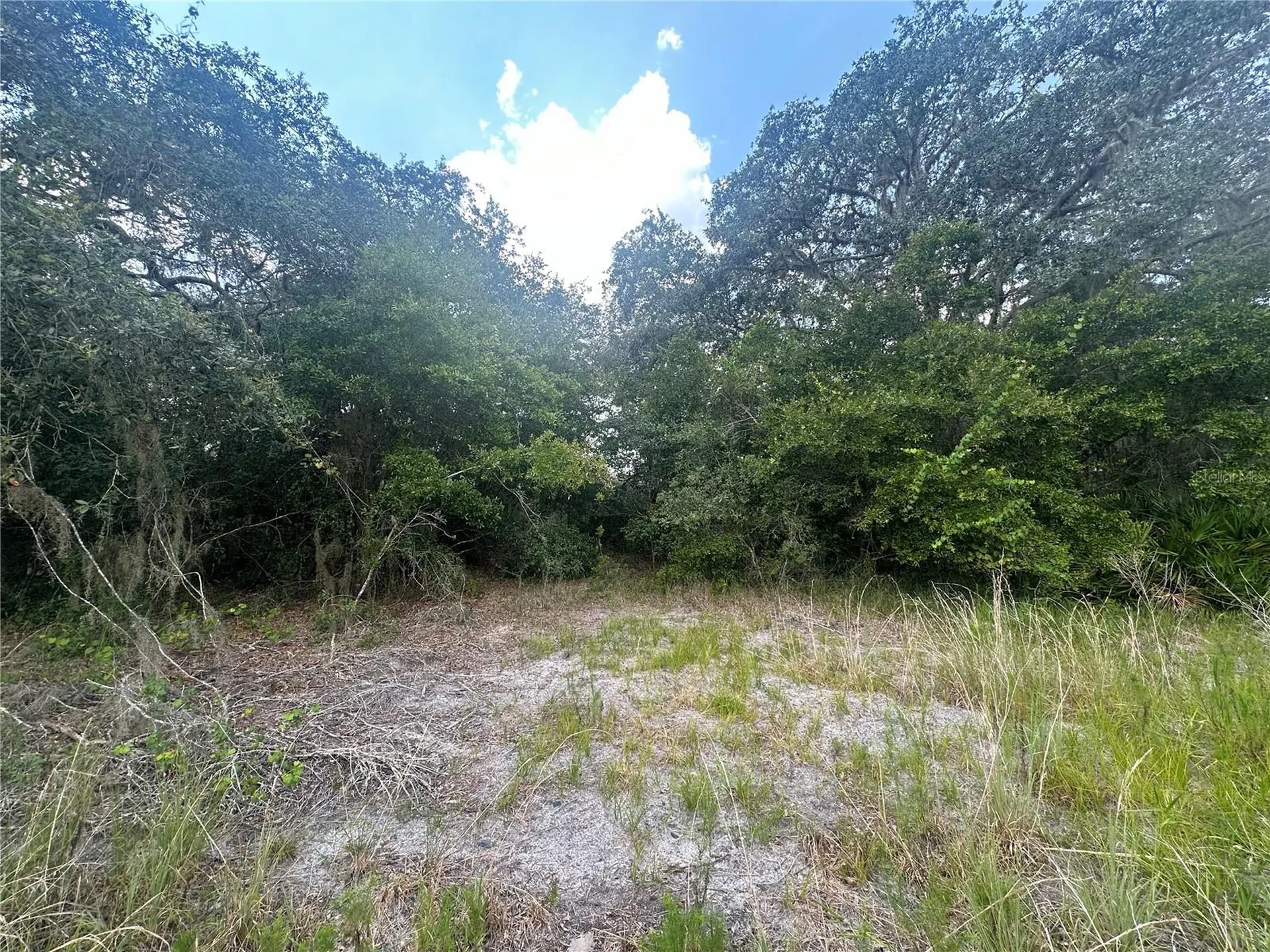 2208 SW Shorewood Drive Dunnellon FL 34431