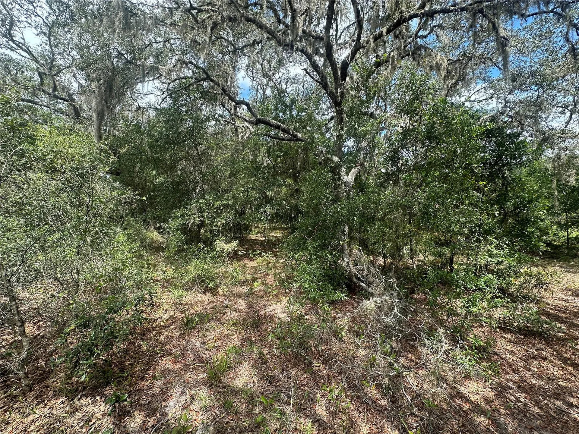 2208 SW Shorewood Drive Dunnellon FL 34431
