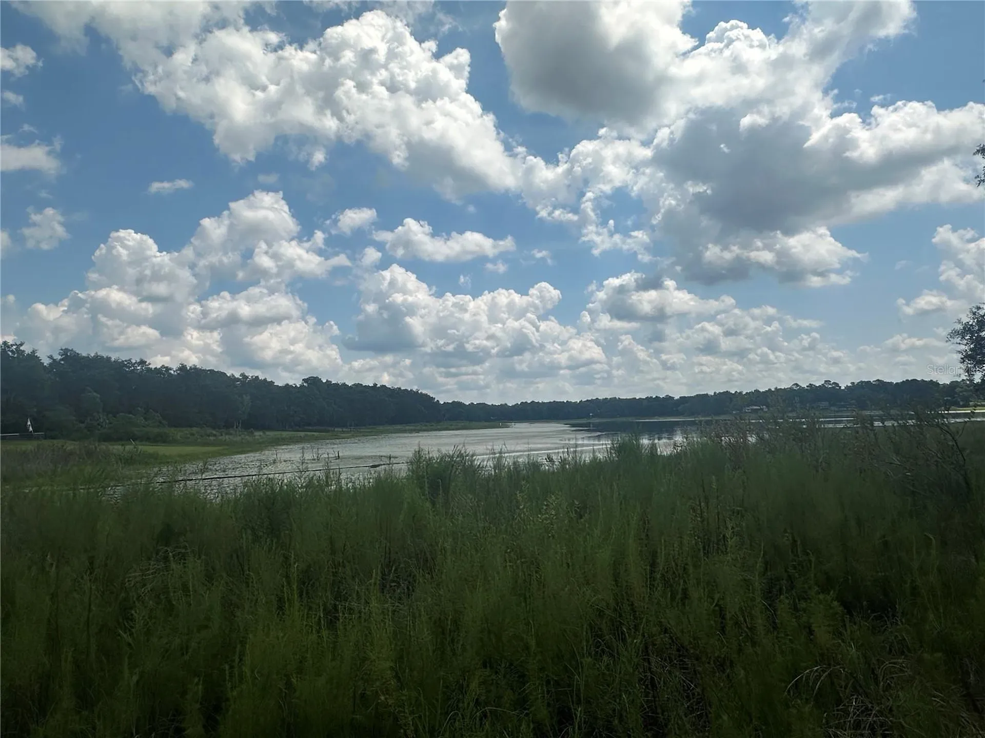 2208 SW Shorewood Drive Dunnellon FL 34431