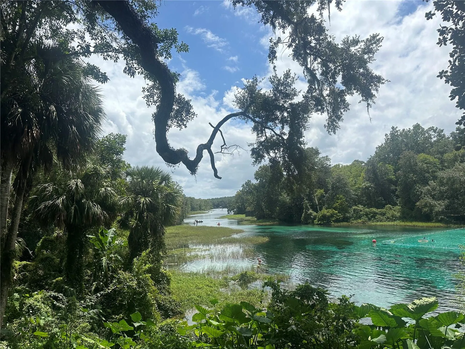 2208 SW Shorewood Drive Dunnellon FL 34431