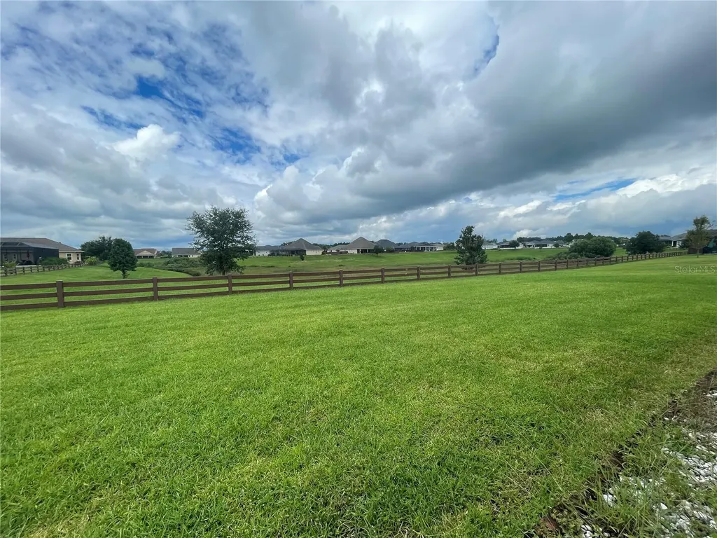 11216 Roz Way Oxford FL 34484