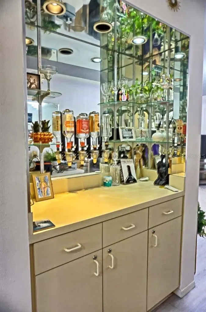 2210 Vista Del Sol Circle Lutz FL 33558