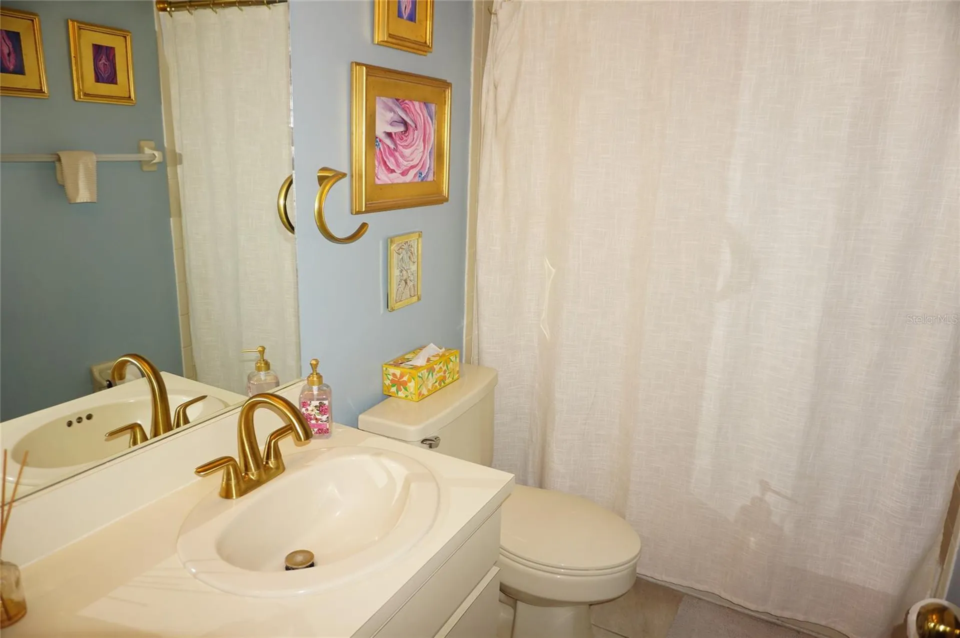 2210 Vista Del Sol Circle Lutz FL 33558