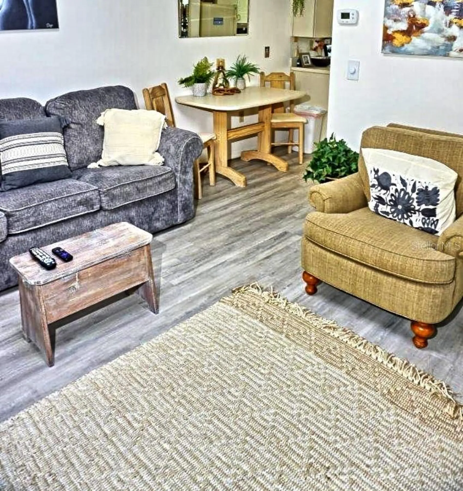 2210 Vista Del Sol Circle Lutz FL 33558
