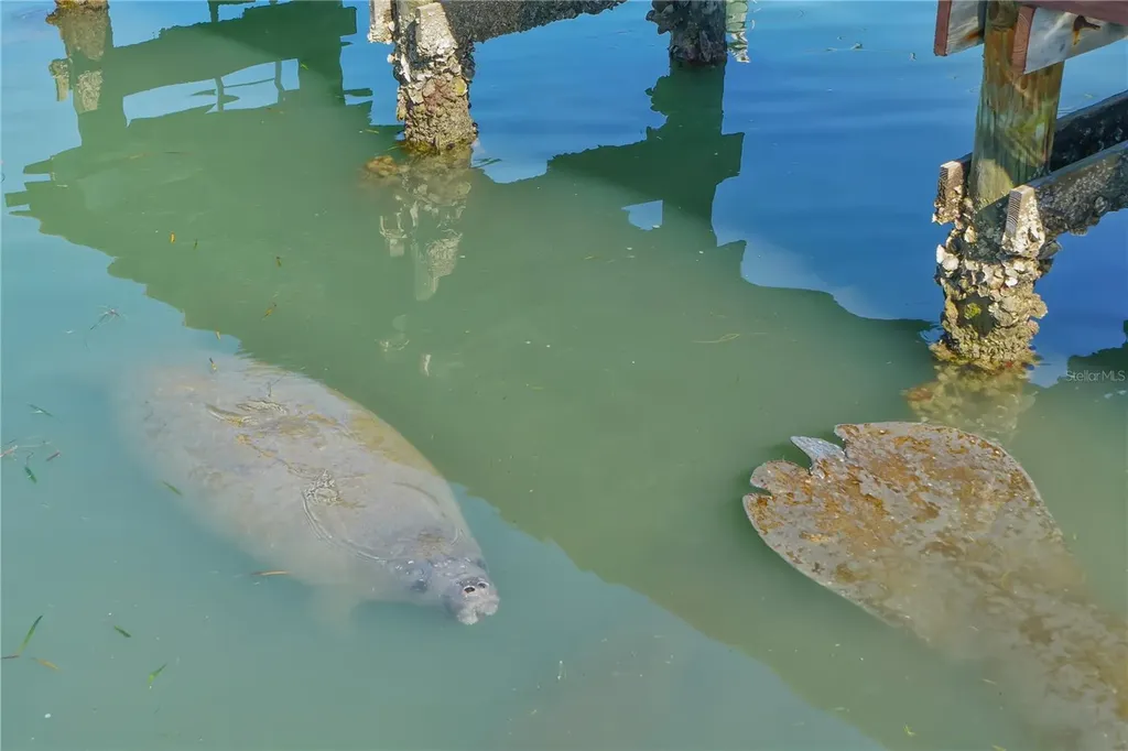 771 John Ringling Boulevard Sarasota FL 34236