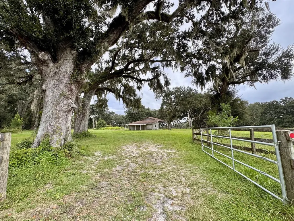 553 NE 205th Avenue Williston FL 32696