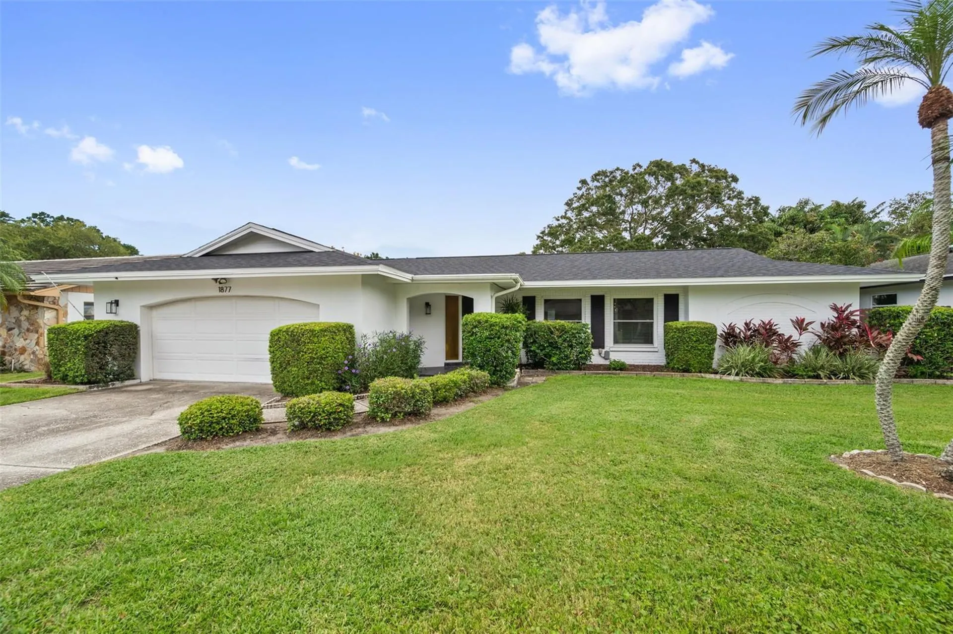 1877 Del Robles Drive Clearwater FL 33764