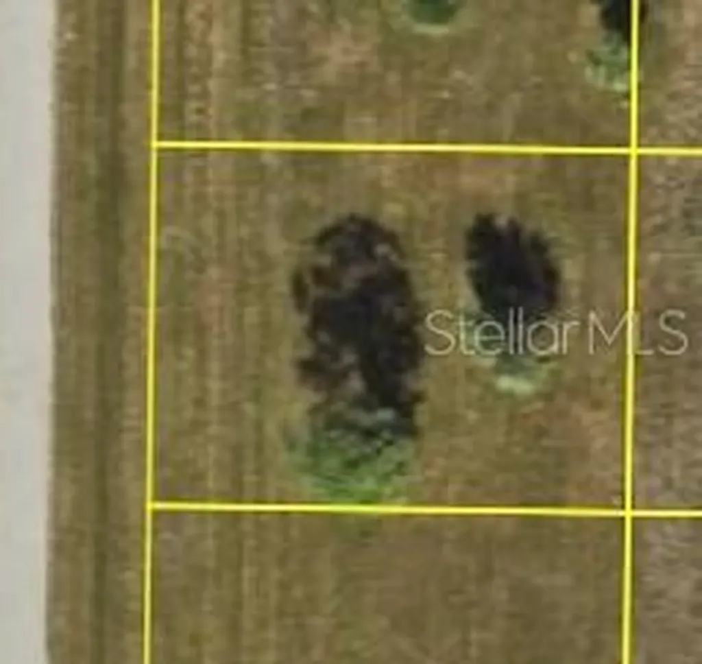 6 Elm Drive Placida FL 33946