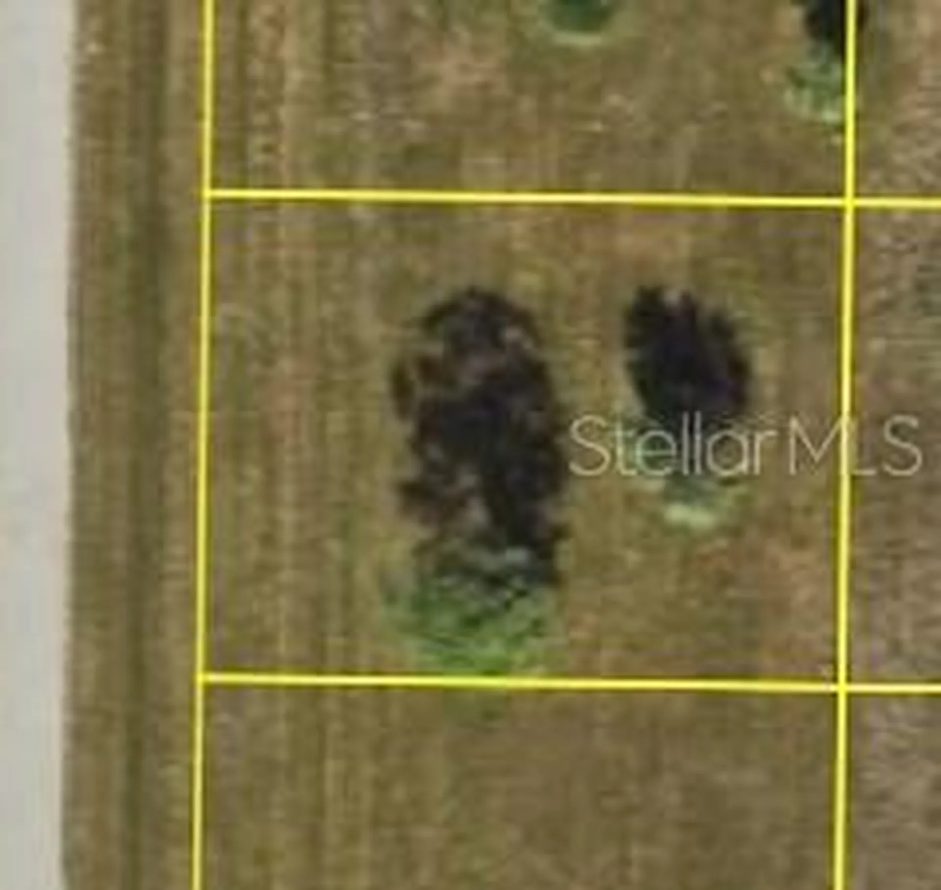 6 Elm Drive Placida FL 33946