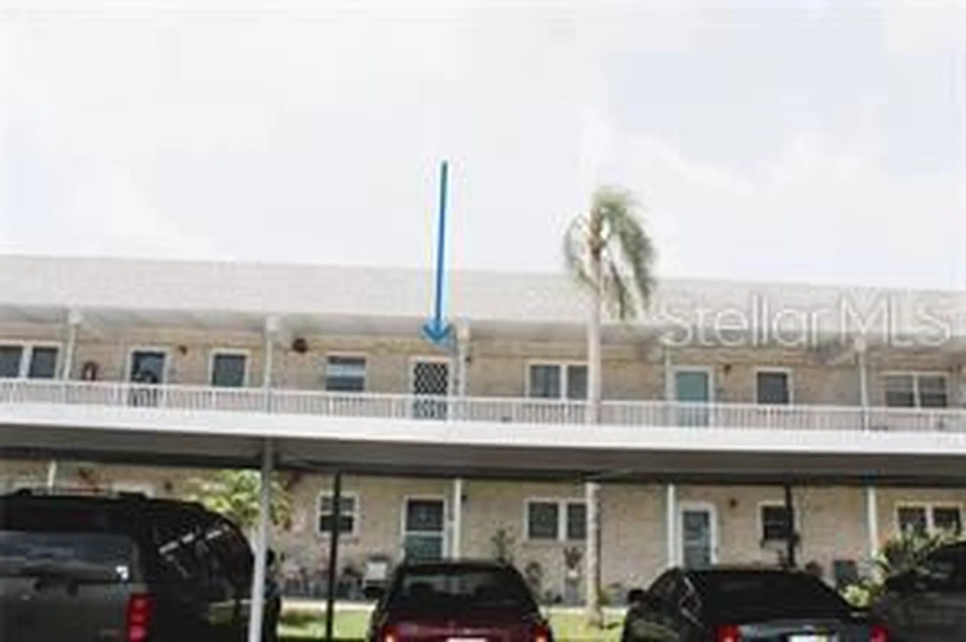 5357 81st Street N St Petersburg FL 33709