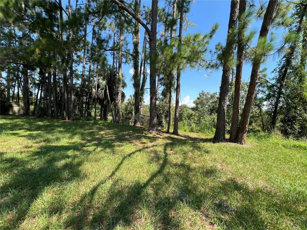 1498 Stone Trail Enterprise FL 32725