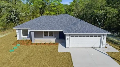 11 Bay Place Ocklawaha FL 32179