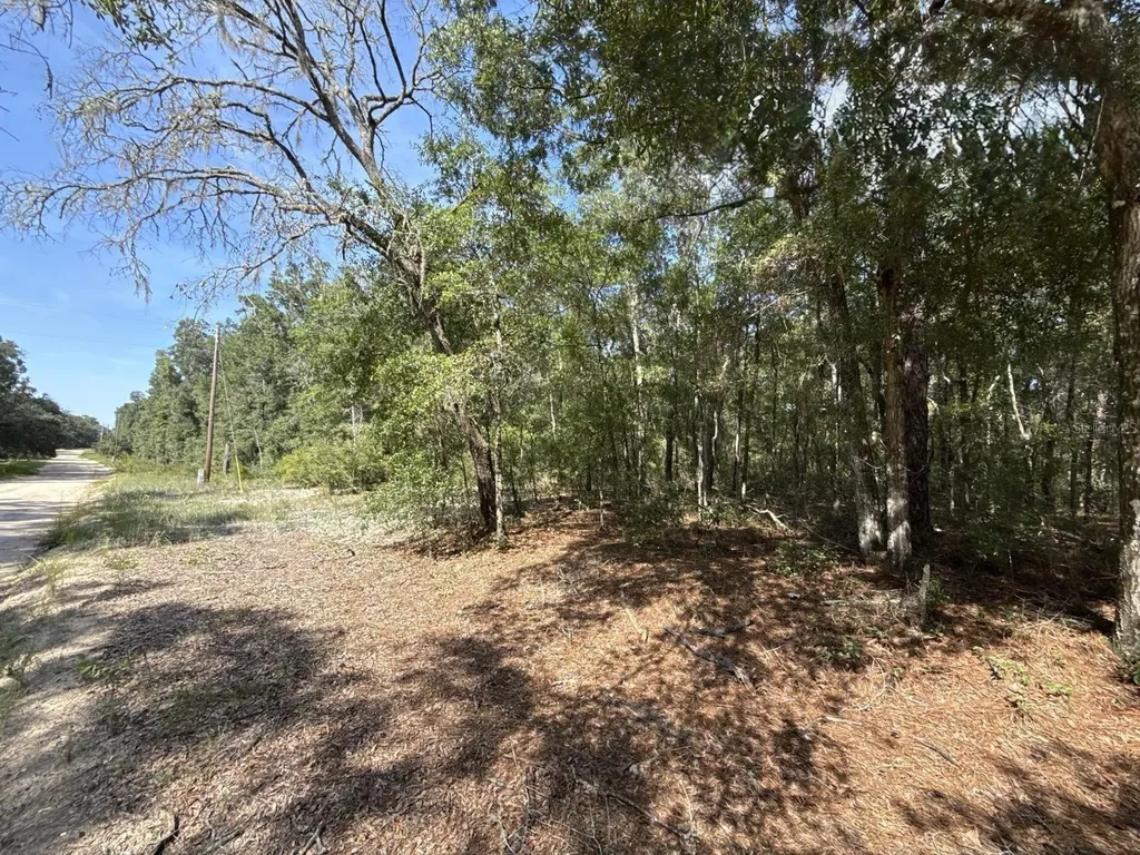 Gloria Avenue Interlachen FL 32148