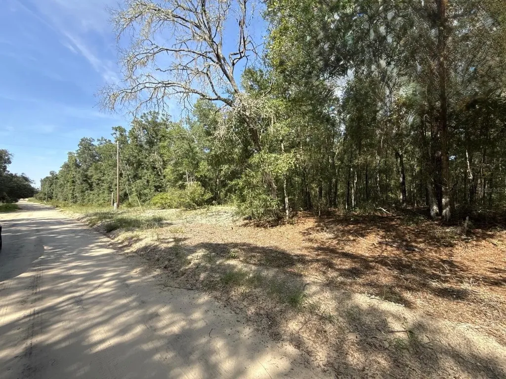 Gloria Avenue Interlachen FL 32148