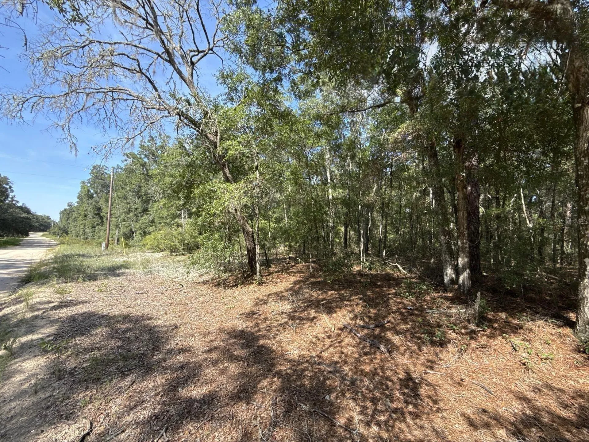 Gloria Avenue Interlachen FL 32148