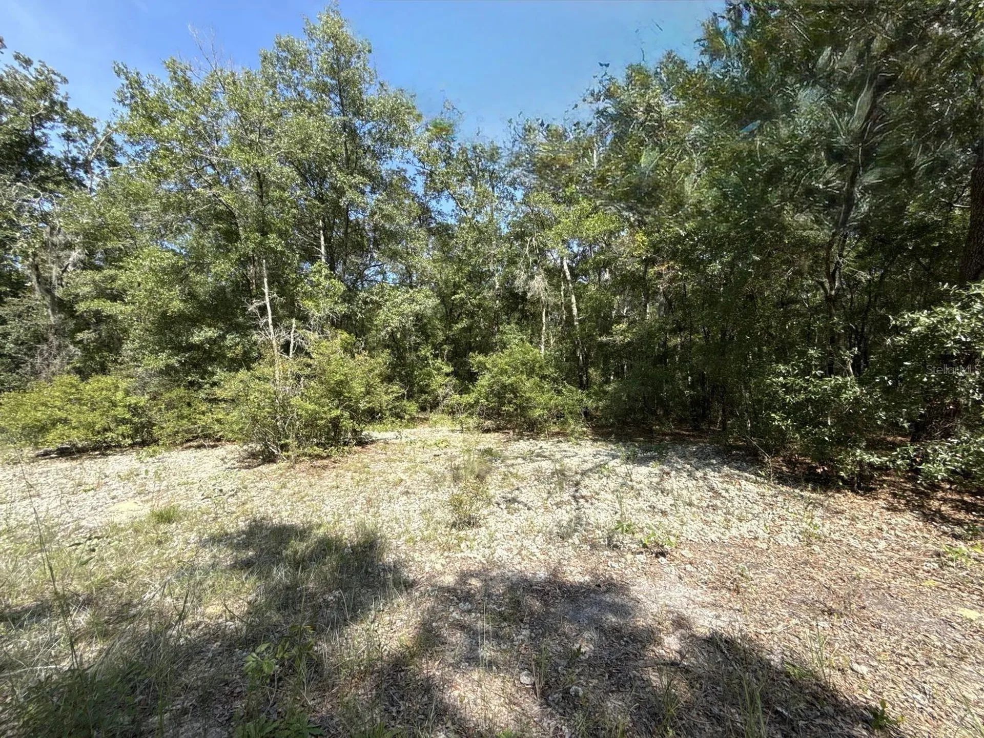 Gloria Avenue Interlachen FL 32148
