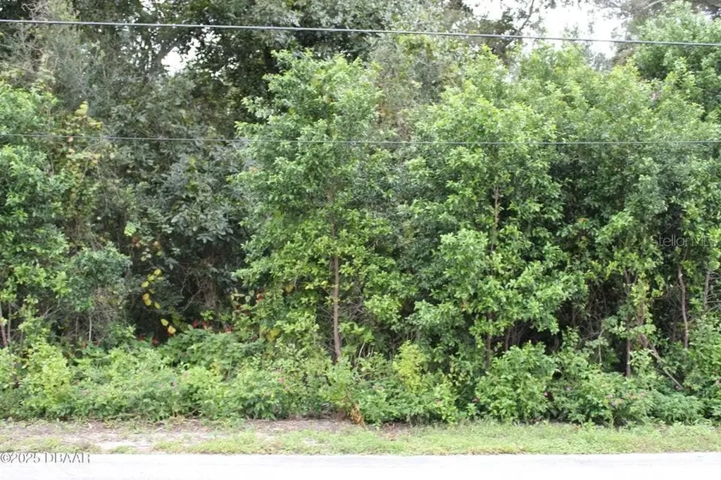 510 Fred Gamble Way Ormond Beach FL 32174