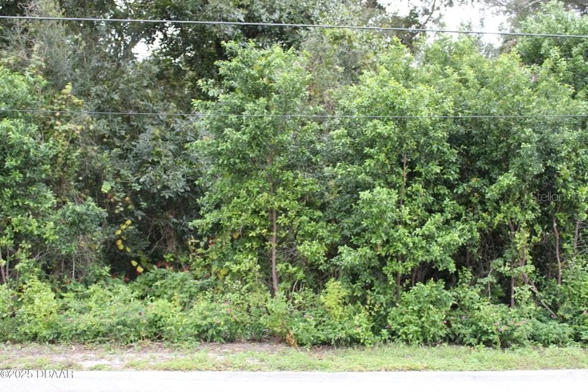 510 Fred Gamble Way Ormond Beach FL 32174