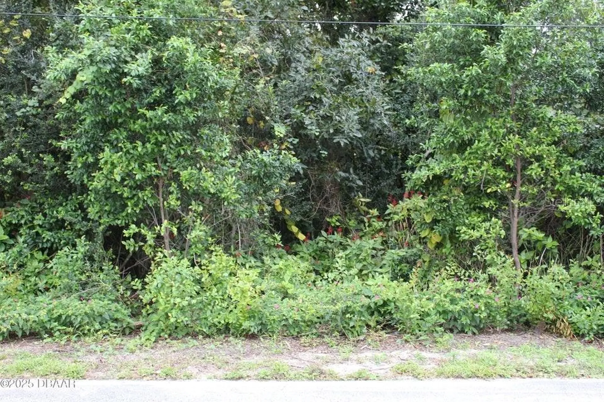 510 Fred Gamble Way Ormond Beach FL 32174