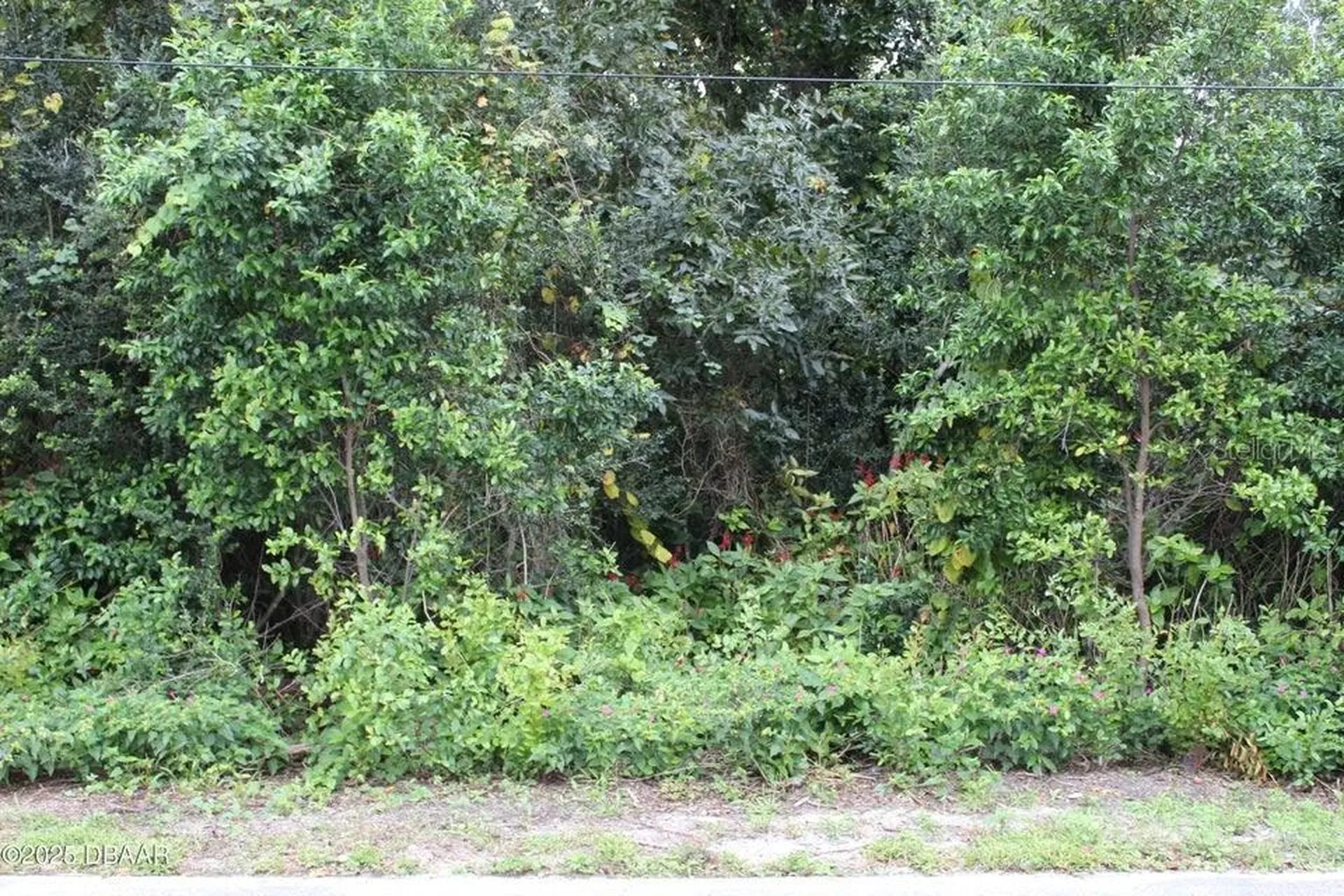 510 Fred Gamble Way Ormond Beach FL 32174