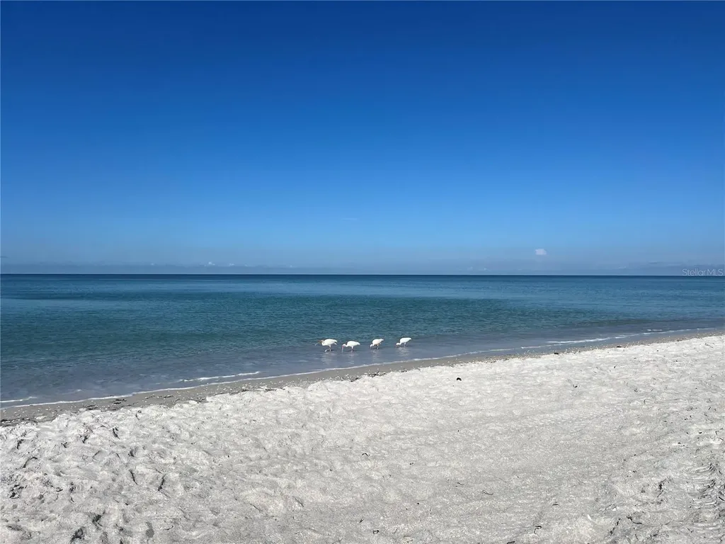 2425 Gulf Of Mexico Drive Longboat Key FL 34228