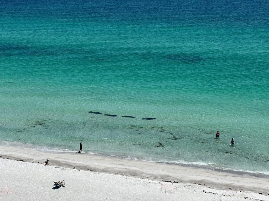2425 Gulf Of Mexico Drive Longboat Key FL 34228