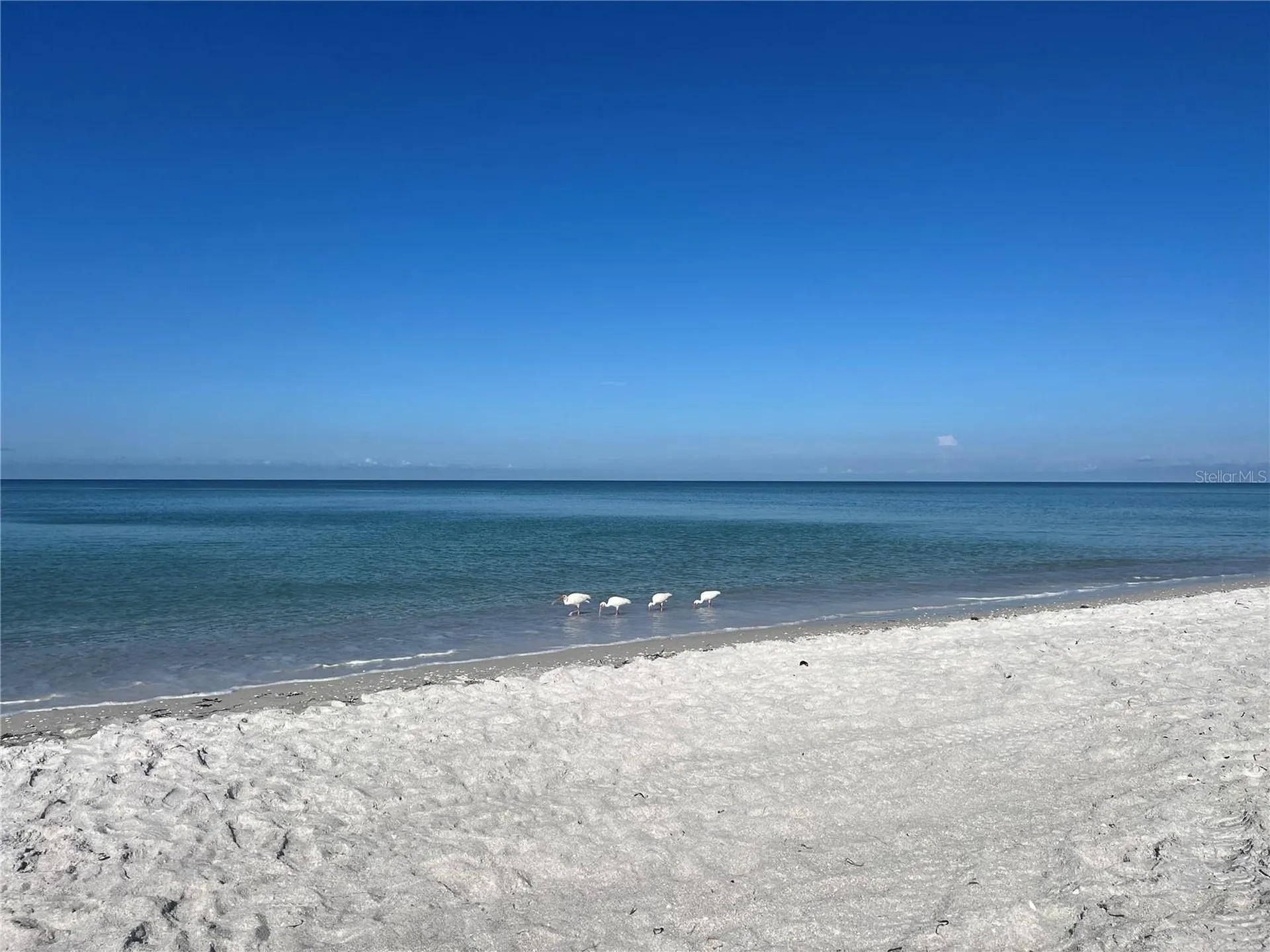 2425 Gulf Of Mexico Drive Longboat Key FL 34228