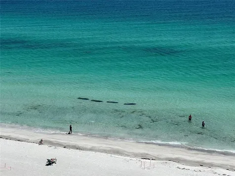 2425 Gulf Of Mexico Drive Longboat Key FL 34228