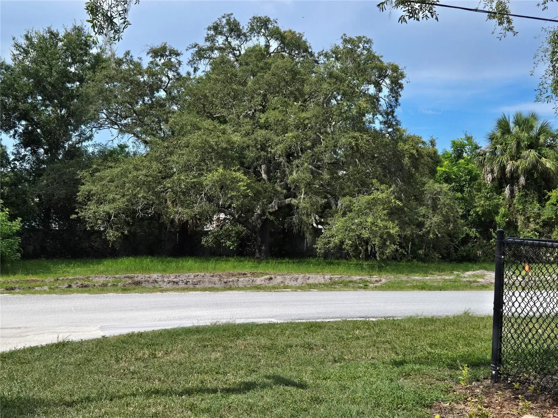440 Jackson Street Dunedin FL 34698