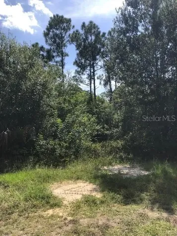 13340 Cappy Terrace Punta Gorda FL 33955