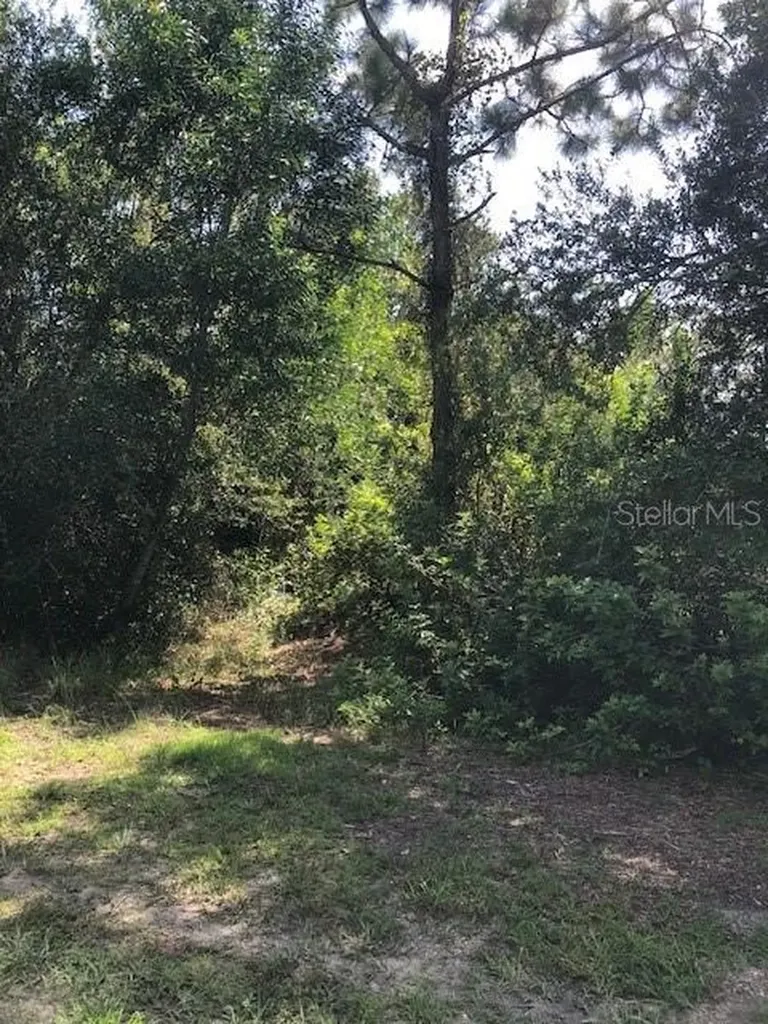 13358 Cappy Terrace Punta Gorda FL 33955
