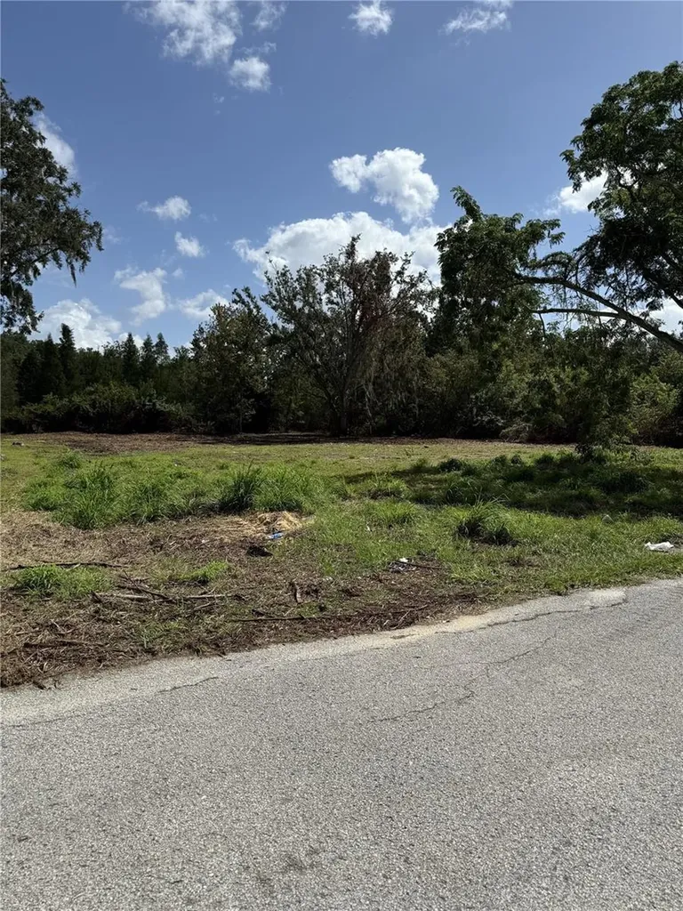 1120 S Cross Avenue Lake Alfred FL 33850