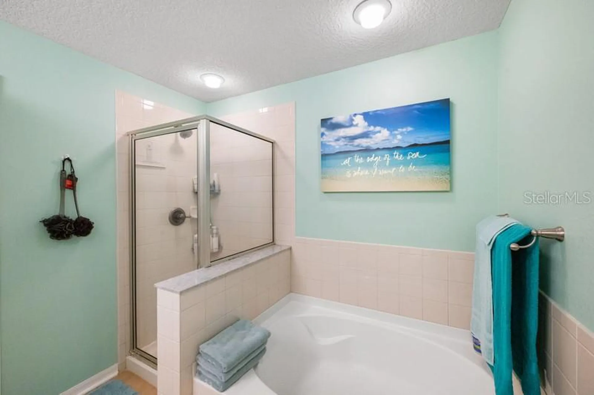 4564 Limerick Drive Tampa FL 33610