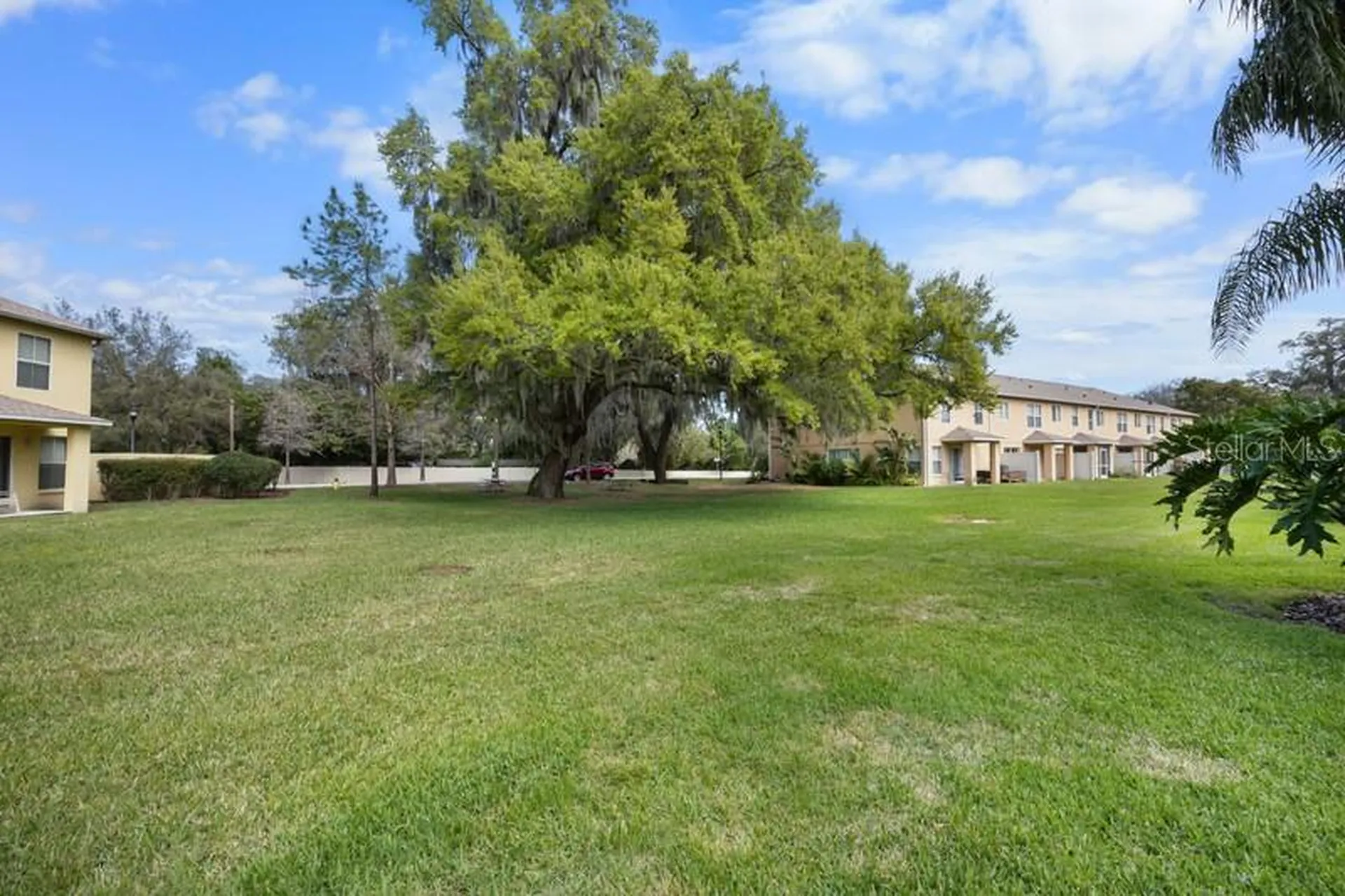 4564 Limerick Drive Tampa FL 33610