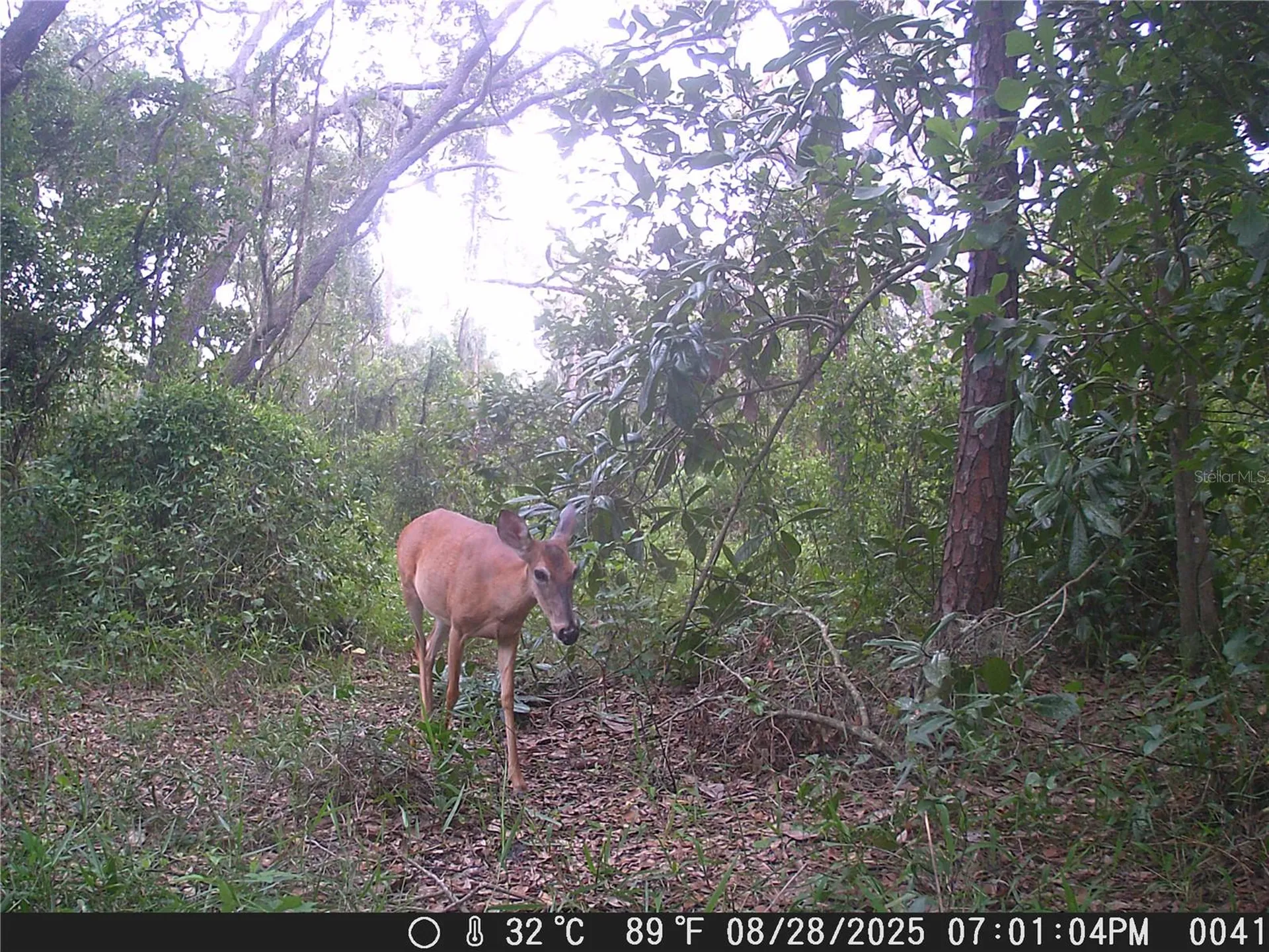 118 E Hunter Road Plant City FL 33565