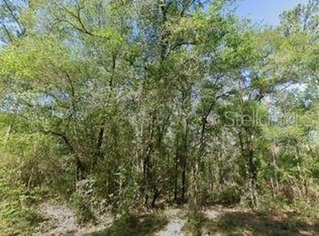 491 E Nemo Drive Dunnellon FL 34434